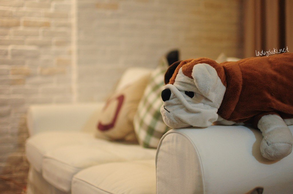 IKEA Dog & Sofa